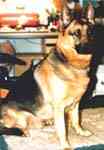 Mit Schn�ffel gings ja noch, aber mit Ronja...